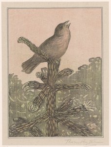 Uccello canoro su un pino