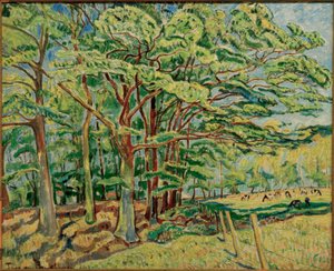 Querce da Theo von Brockhusen
