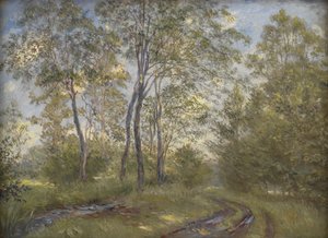 Un fiume vicino a Meilgård Manor, Jutlandia da Theodor Philipsen