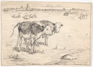Un paio di vitelli su "Fladen", Saltholm da Theodor Philipsen