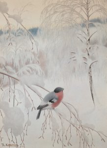 Ciuffolotto da Theodor Kittelsen