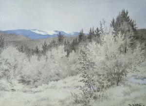 Lontano nella foresta da Theodor Kittelsen
