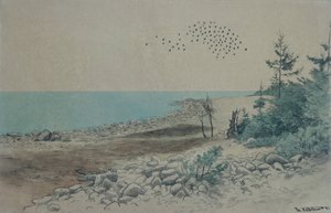 Jomfruland (pittura)