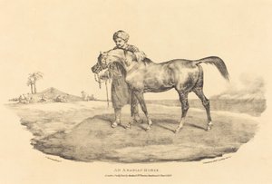 Un cavallo arabo da Theodore Gericault