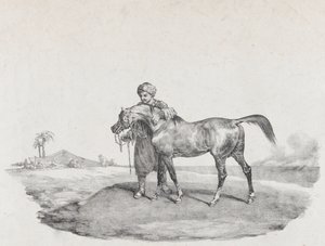 Un Cavallo Arabo, 1821 da Theodore Gericault