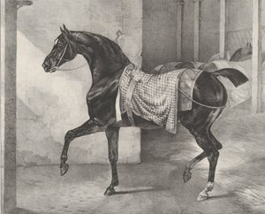 Cavallo nero legato in una stalla, 1822 da Theodore Gericault