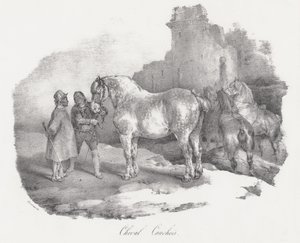 Cheval Cauchois (una razza equina autoctona di Caux, in Normandia)