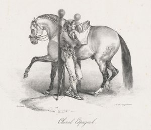 Cavallo spagnolo (A Spanish Horse)