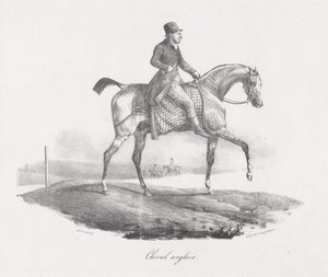 Cavallo inglese (An English Horse) da Theodore Gericault