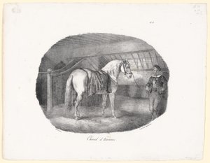 Cavallo di Hannover (A Hanoverian Horse)