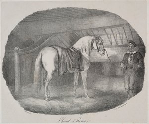 Cavallo di Hannover da Theodore Gericault