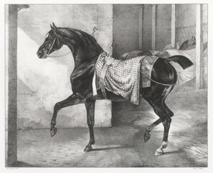 Cavallo nero legato in una stalla (A Black Horse Tethered in a Stable) da Theodore Gericault