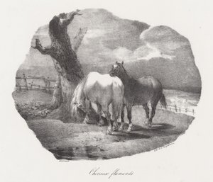 Cavalli fiamminghi (Flemish Horses) da Theodore Gericault