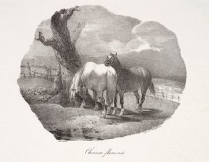 Cavalli fiamminghi da Theodore Gericault