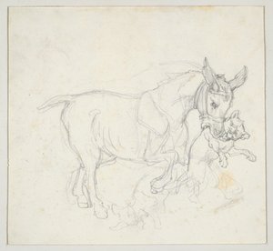 Asino con un cane in bocca (recto); Studio di cervo inseguito dai cani, testa di cerva (verso) da Theodore Gericault