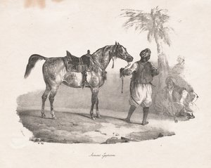 Cavalla egiziana, 1822