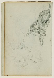 Quattro studi sui leoni da Theodore Gericault
