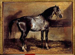 Cavallo grigio al rastrello da Theodore Gericault