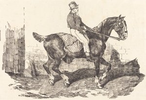 Cocchiere montato su un cavallo da carrozza