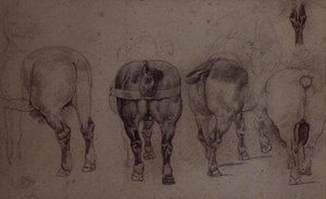 Cavalli imbrigliati da Theodore Gericault