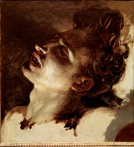Testa di un giovane morto