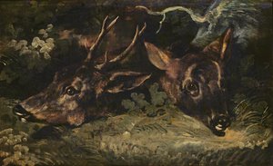 Teste di capriolo, 1815 da Theodore Gericault