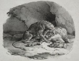Cavallo divorato da un leone da Theodore Gericault