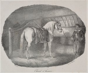 Cavallo di Hannover da Theodore Gericault