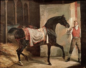 Cavallo che esce dalla stalla da Theodore Gericault