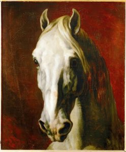Testa di cavallo bianco da Theodore Gericault