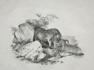 La giumenta e il suo puledro