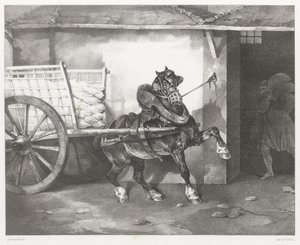 Il cavallo dell