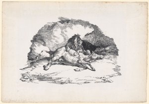 Leone che divora un cavallo (A Lion Devouring a Horse)