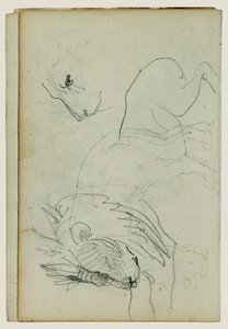 Studi sul leone da Theodore Gericault