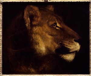 Testa di leonessa