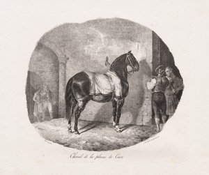 Studi litografici di cavalli: Pl. 7, Cavallo della pianura di Caen da Theodore Gericault