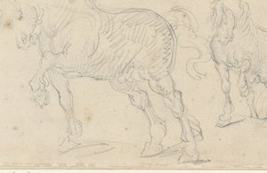 Studi sui cavalli da Theodore Gericault