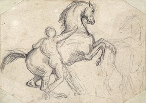 Stallone impennato tenuto da un uomo nudo da Theodore Gericault