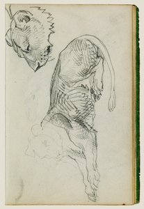 Leone seduto, testa di leonessa da Theodore Gericault