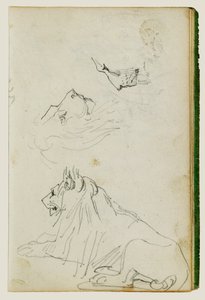Leone seduto, due studi di teste di leone