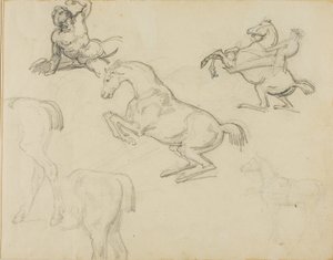 Schizzi: Nudo reclinato, un cavaliere e vari cavalli da Theodore Gericault
