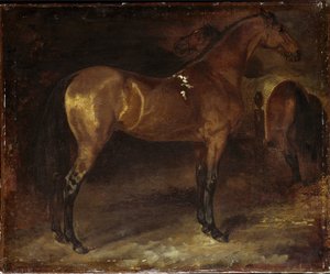 Cavallo spagnolo da Theodore Gericault