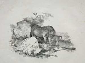 La giumenta e il suo puledro