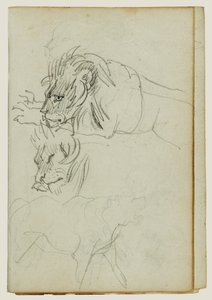 Tre studi sui leoni da Theodore Gericault
