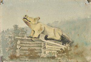 Tomba indiana. Totem del lupo sulla tomba dello sciamano, Wrangell