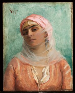 Giovane ottomano, 1879 da Theodore Jacques Ralli