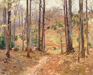 Boschi della Virginia da Theodore Robinson