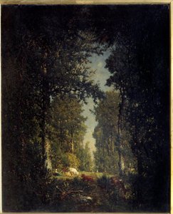 Un viale, foresta di Isle Adam da Pierre Etienne Theodore Rousseau