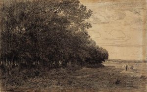 Un piccolo gruppo di alberi alti vicino alla foresta di Macherin da Theodore Rousseau