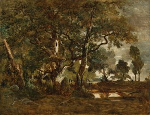 Foresta di Fontainebleau, gruppo di alberi ad alto fusto che si affacciano sulla pianura di Clair-Bois ai margini del Bas-Bréau da Theodore Rousseau